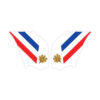 Laterali serbatoio - BMW R1200 GS ADV (04-12) – France